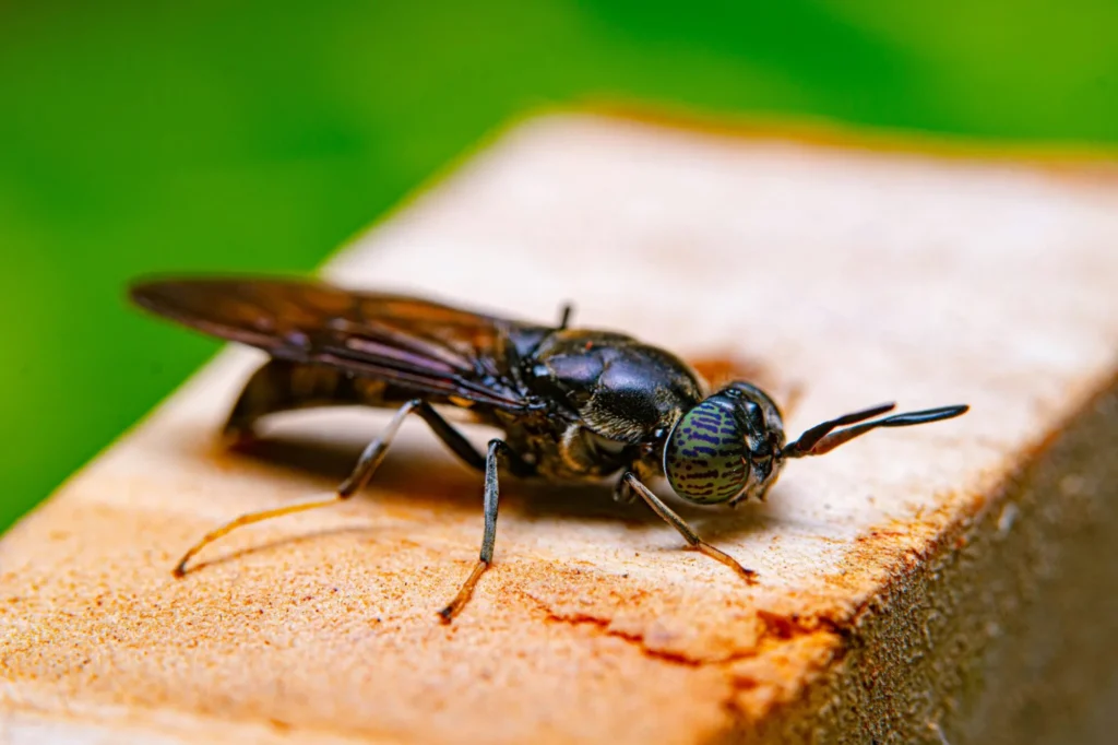 Oktavianus mulyadi 7u5k b4utty unsplash