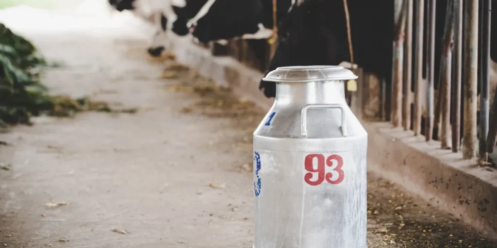 close-up-view-bucket-milking-cows-animal-barn close-up-view-bucket-milking-cows-animal-barn